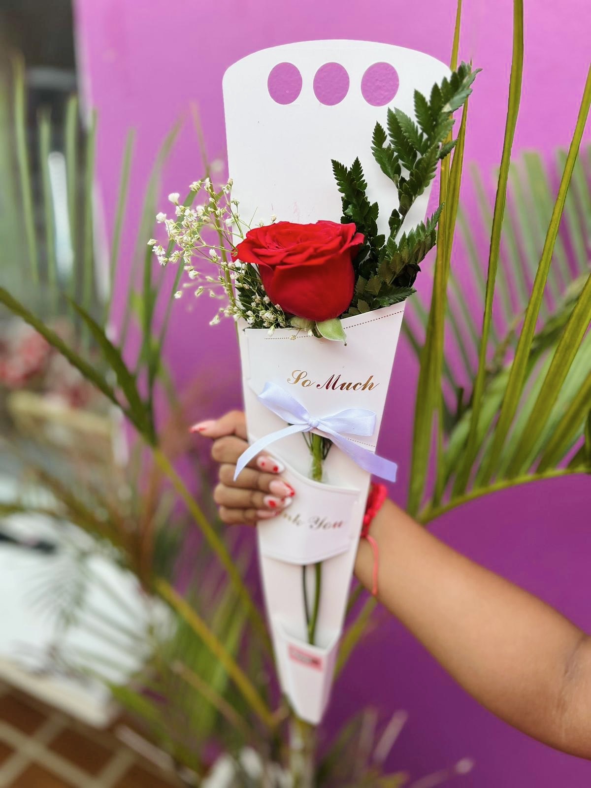 White Rose Carried Away