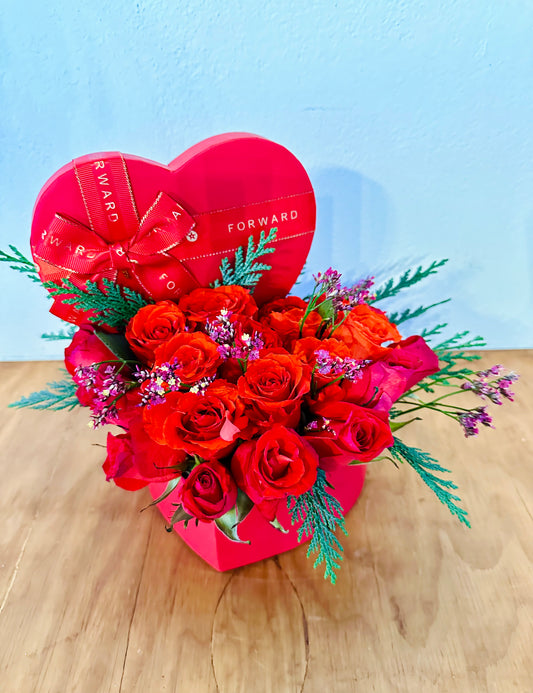 Christmas Roses
